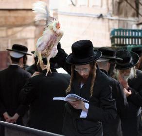 Kapparot-chickenslaughter-YomKippur14